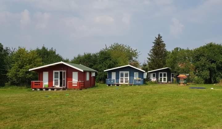 Kiszkowianka Domki Skrzeszewo  Dış mekan fotoğraf