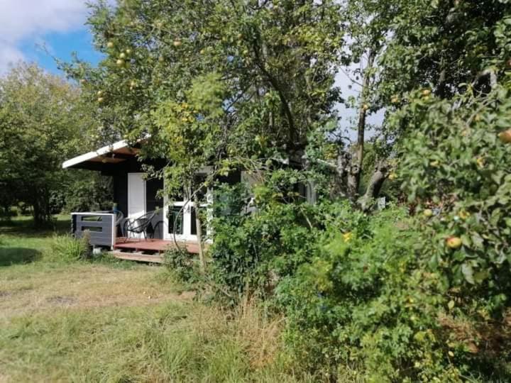 Kiszkowianka Domki Skrzeszewo  Dış mekan fotoğraf